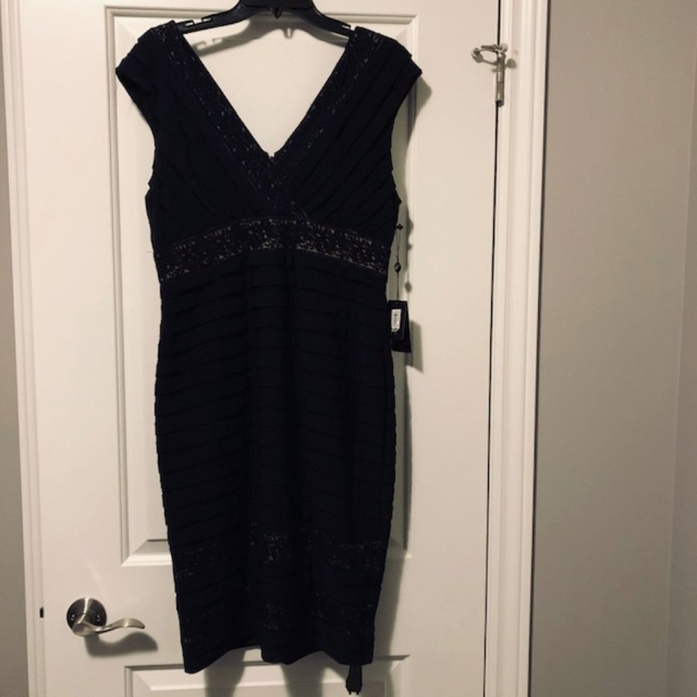 Adrianna Papell Lace Insert Dress